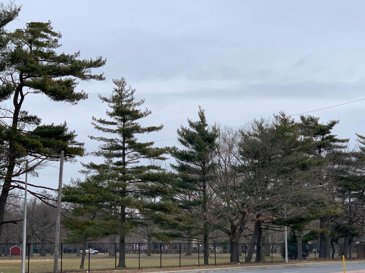 Coliseum Inn & Suites - Garden City Long Island East Meadow 외부 사진